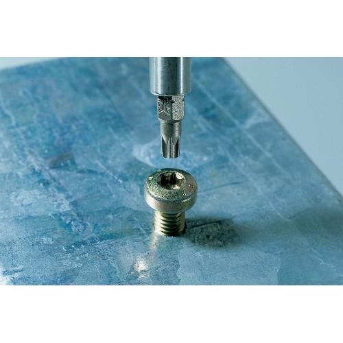 Juego de puntas, TORX® (T 8/9), 2 piezas