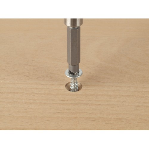 Juego de puntas para tornillos con perfil defectuoso, 2 piezas