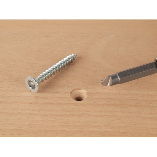 Juego de puntas para tornillos con perfil defectuoso, 2 piezas