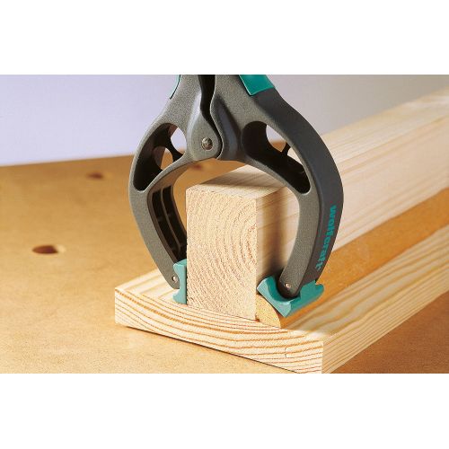 Pinza con resorte FZ