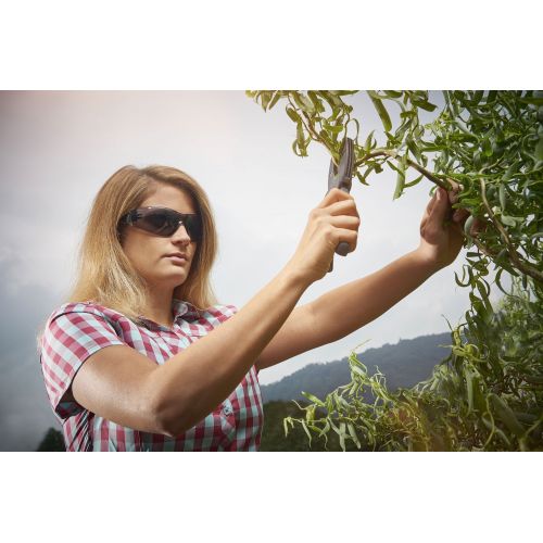 Gafas de seguridad 