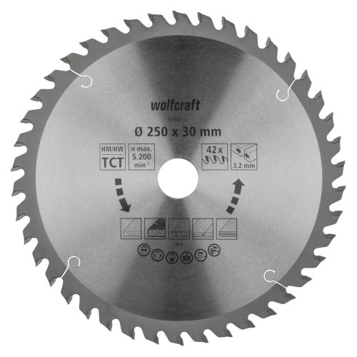 1 disco para sierras circulares de mesa CT, 42 dientes ø250 mm