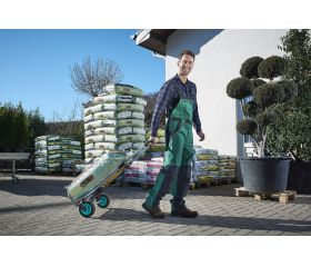 Carro de transporte TS 850 Offroad