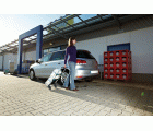 Carro de transporte TS 300
