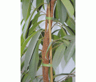 1 tira adherente verde para jardín, 5 m