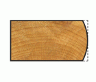 1 fresa de redondear WS ø25x22mm