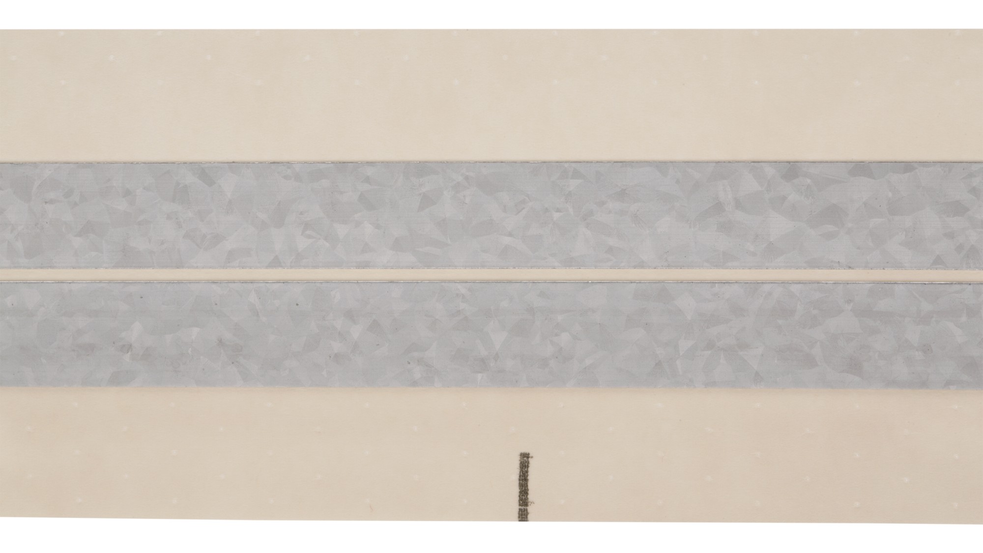 Cintas guardavivos 12,5 m