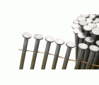 Clavo Coil 3,8 100 mm - Liso / Senc