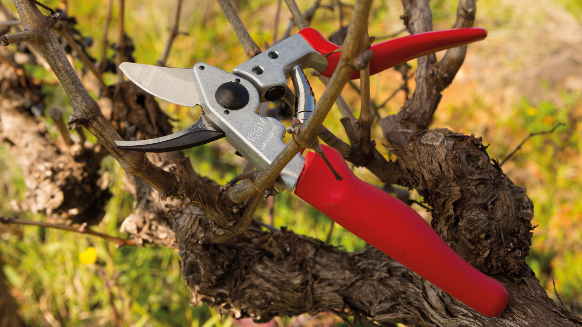 Felco 17 - zurdos Felco 17 para zurdos - 20 mm