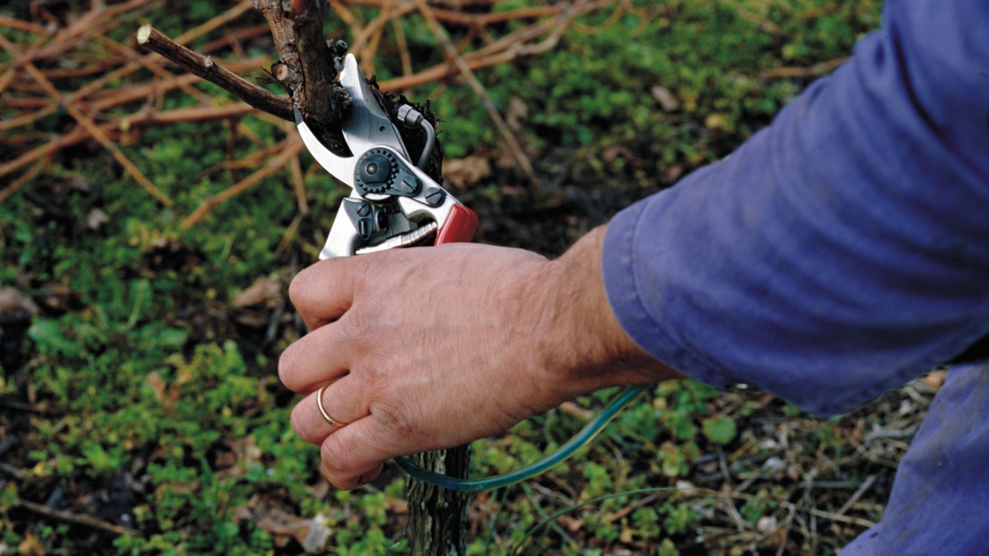 Felco 19 - Pulverizador - 25 mm