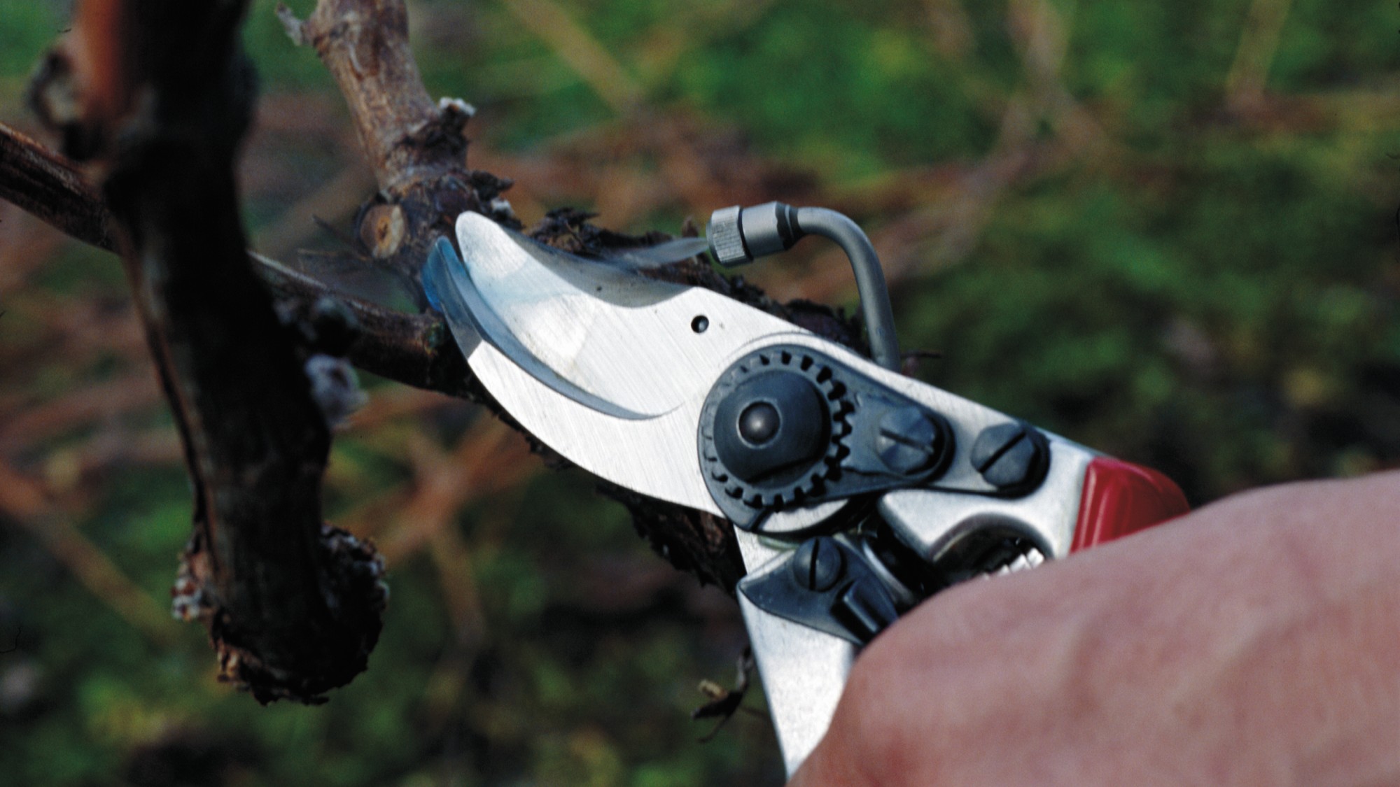 Felco 19 - Pulverizador - 25 mm