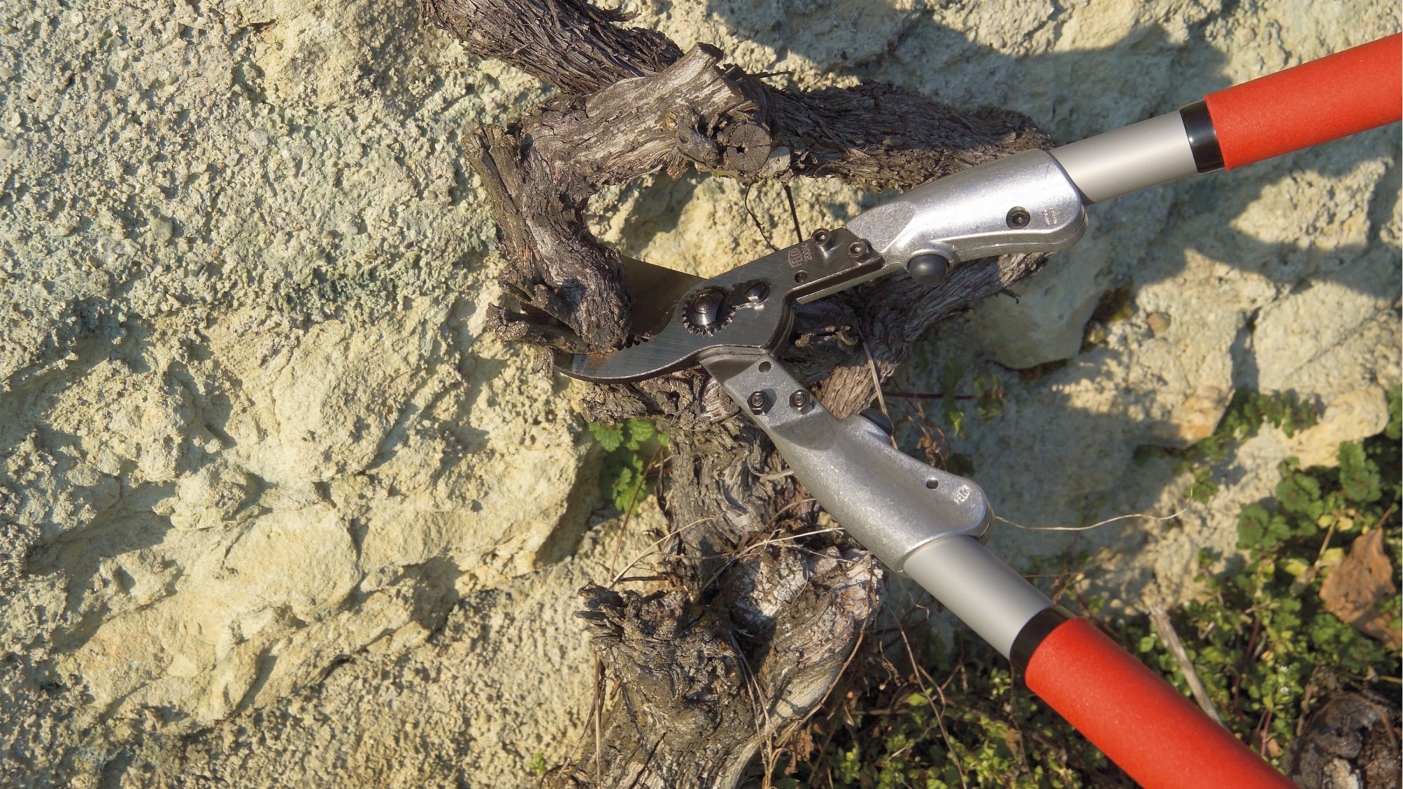 Felco 200A-40 corte recto - 35 mm