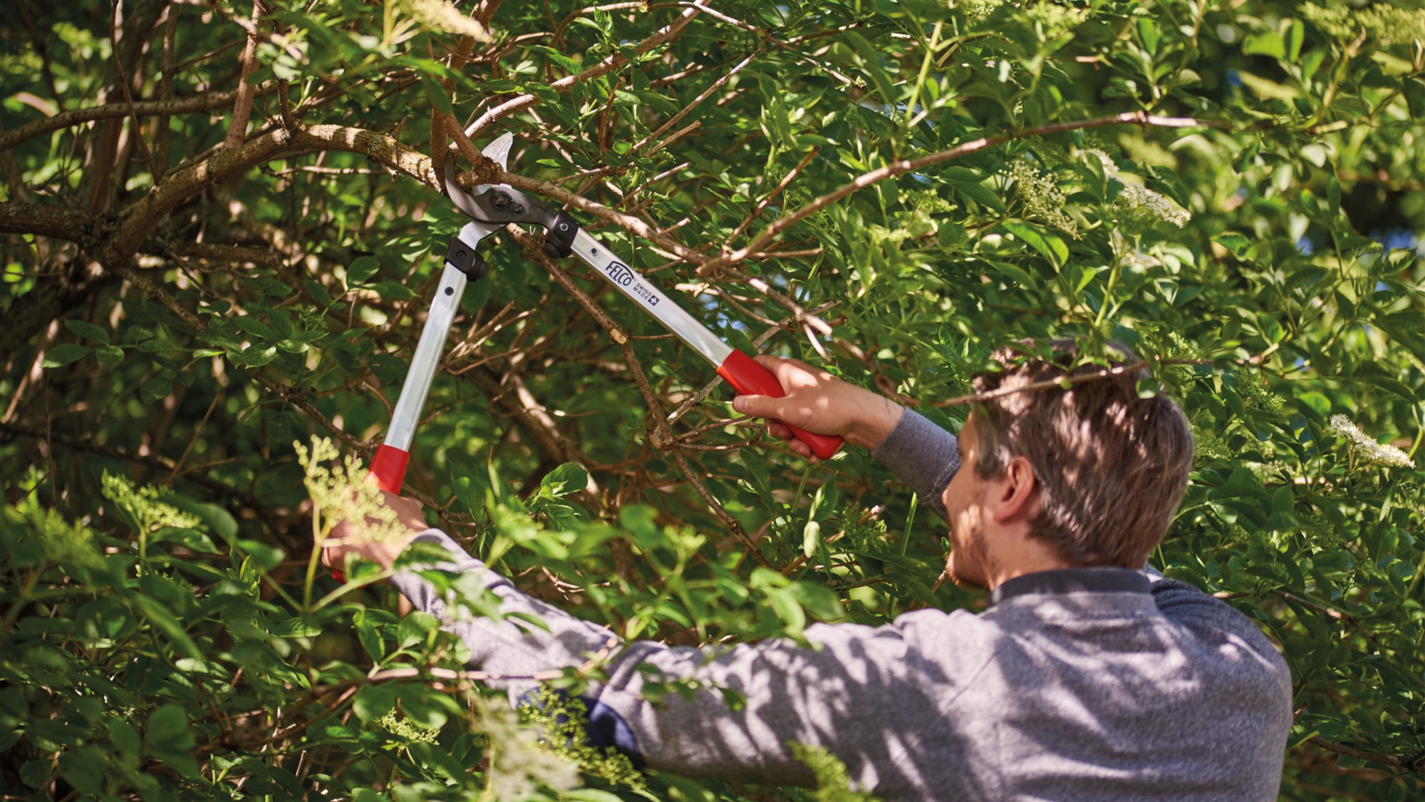 Felco 211-50 corte tirante - 35 mm