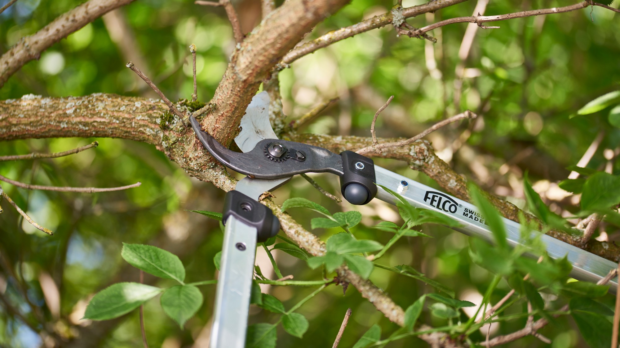Felco 211-50 corte tirante - 35 mm