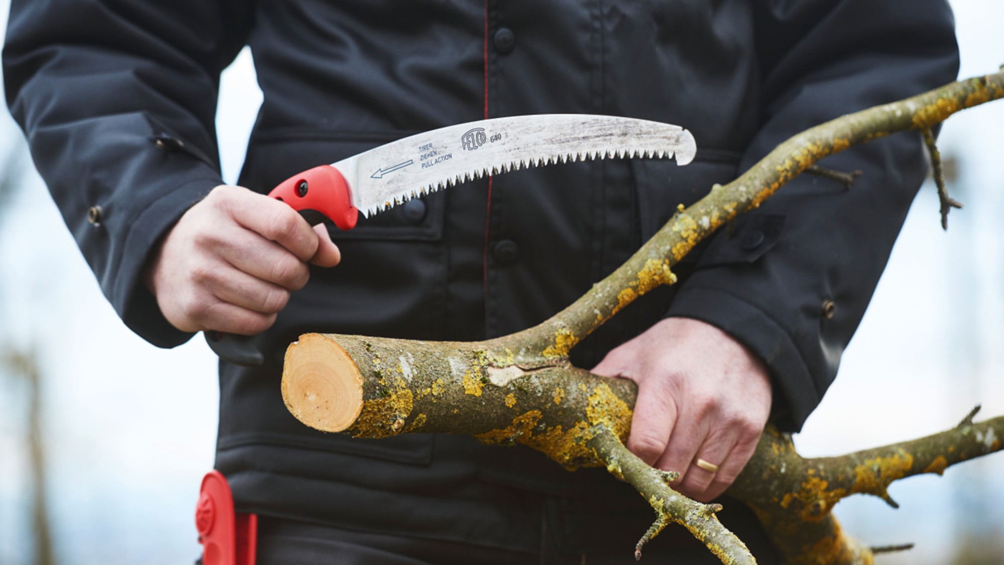 Serrucho Felco curvo 640 - 27 cm2