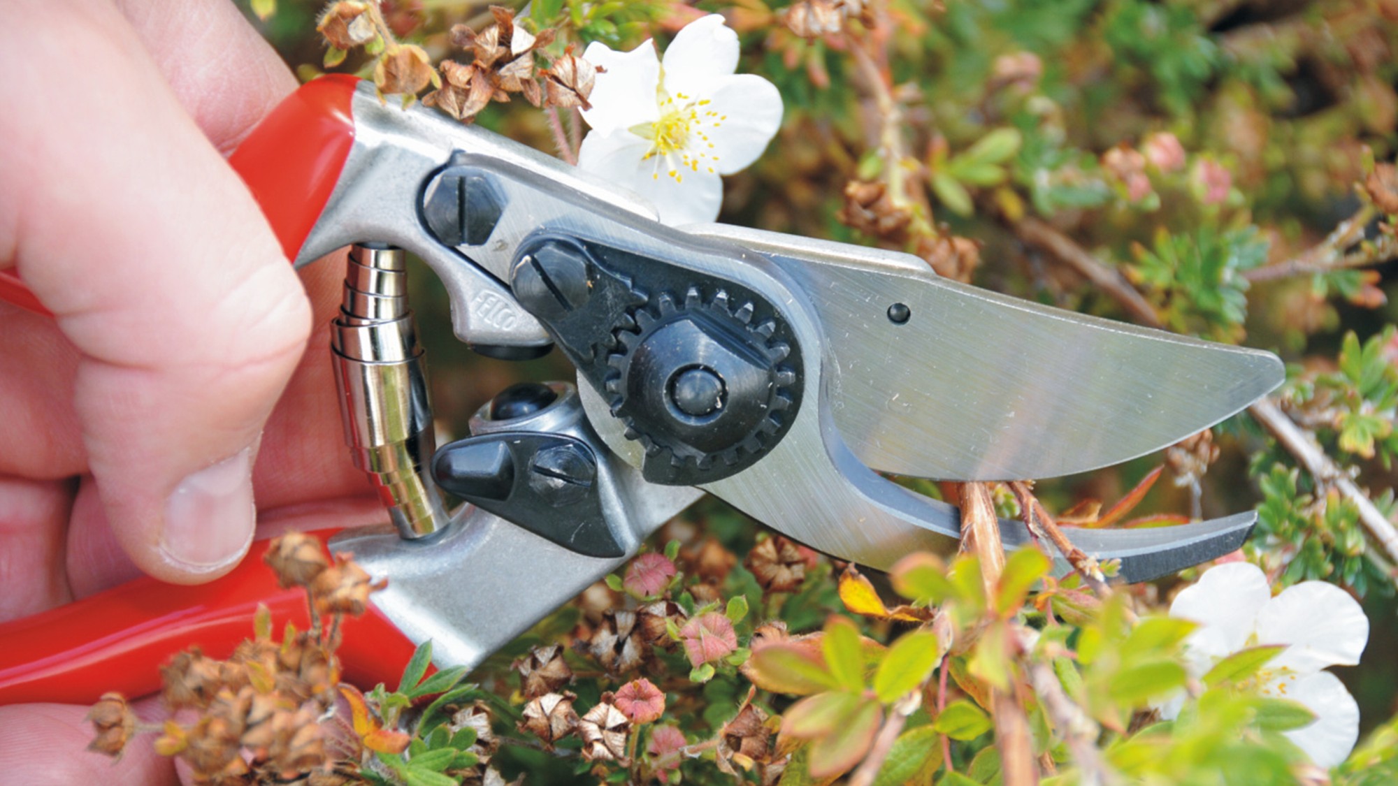 Felco 9 para zurdos Felco 9 - zurdos - 25 mm