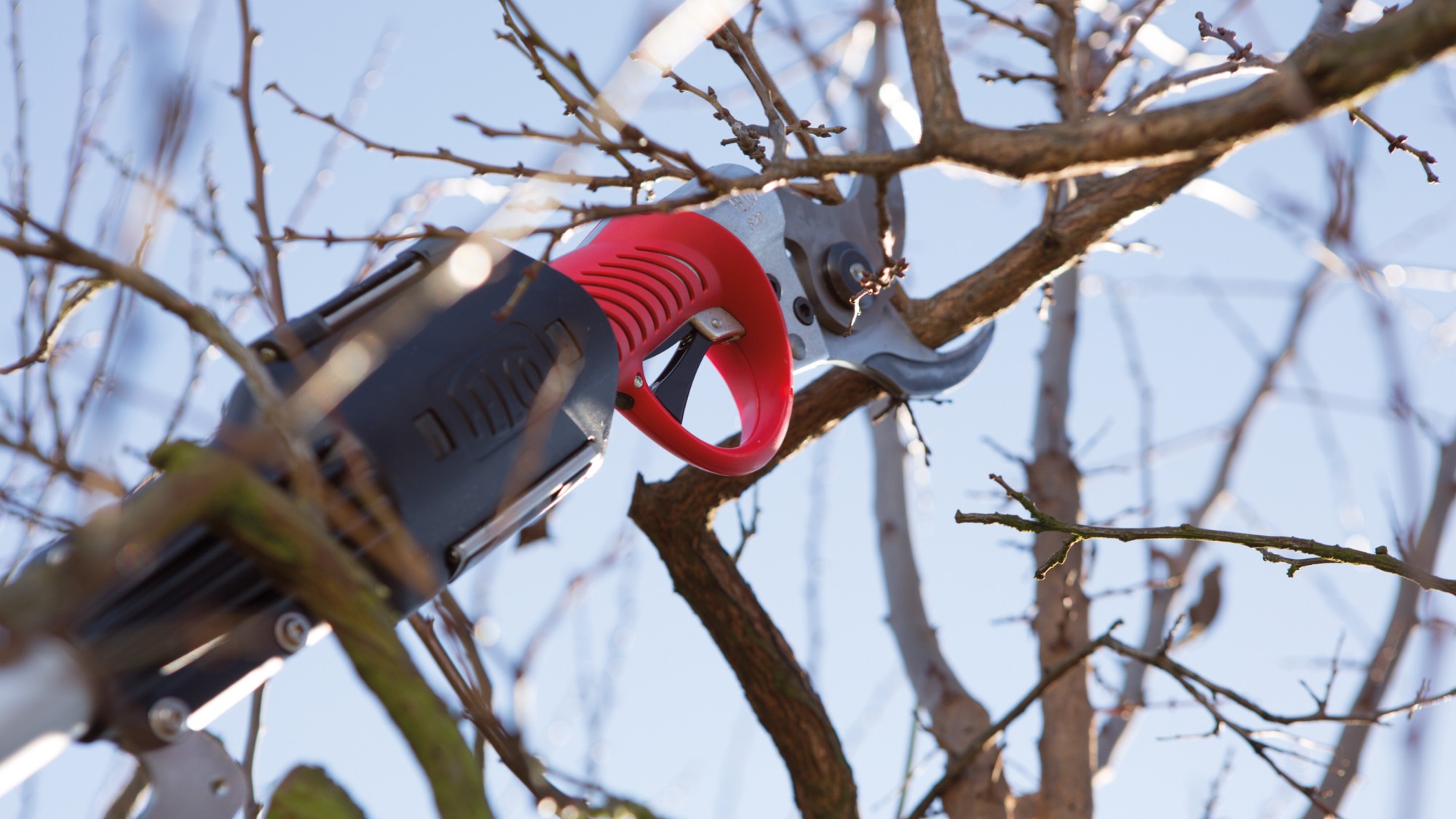 Pértiga Felco 880 Pértiga Felco - 150 cm