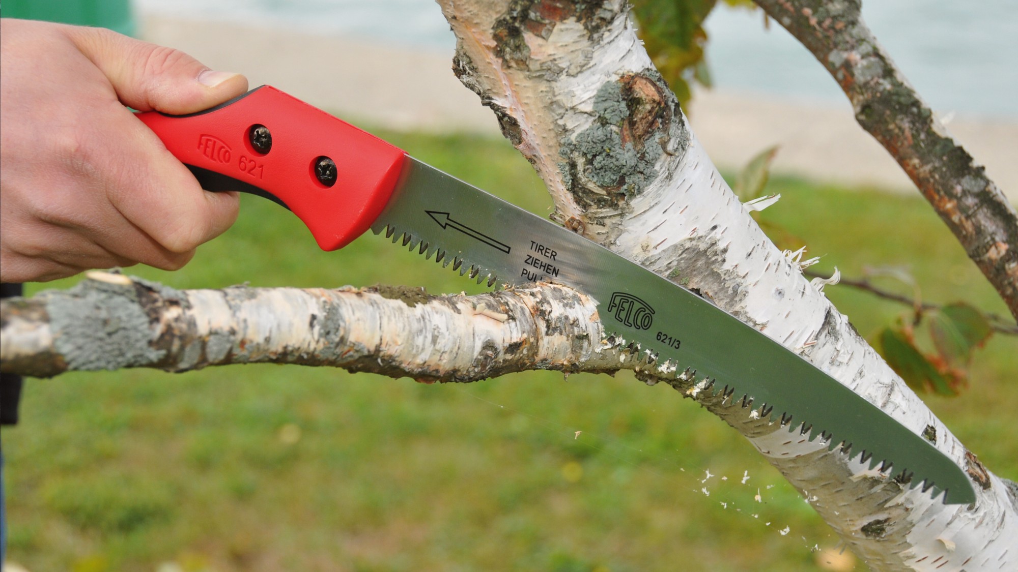 Serrucho Felco 621 hoja recta - 24 cm