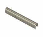 Grapa 36 12 mm