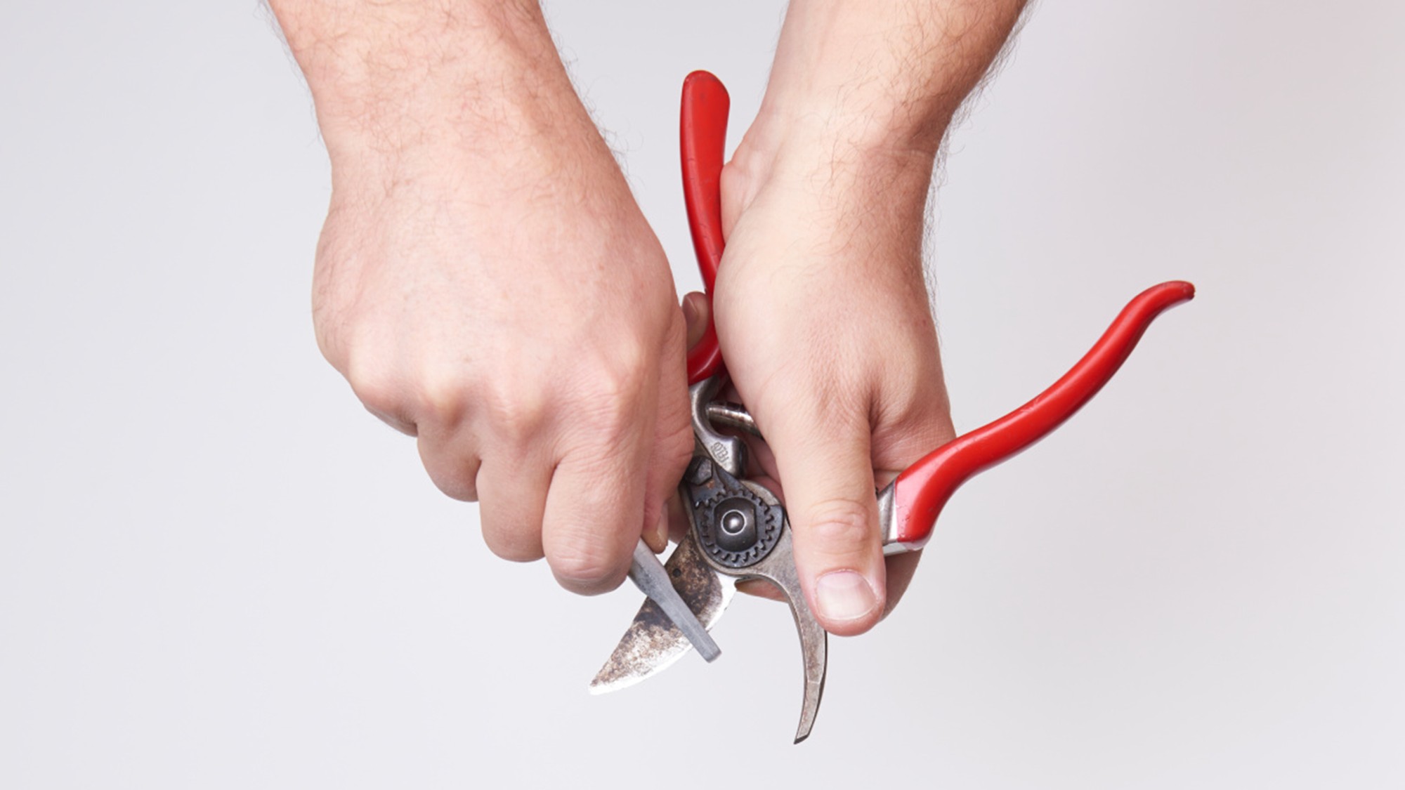 Piedra de afilar Felco 904 FELCO 904 PIEDRA AFILAR