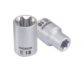 Vaso con adaptador Torx Exterior 3/8