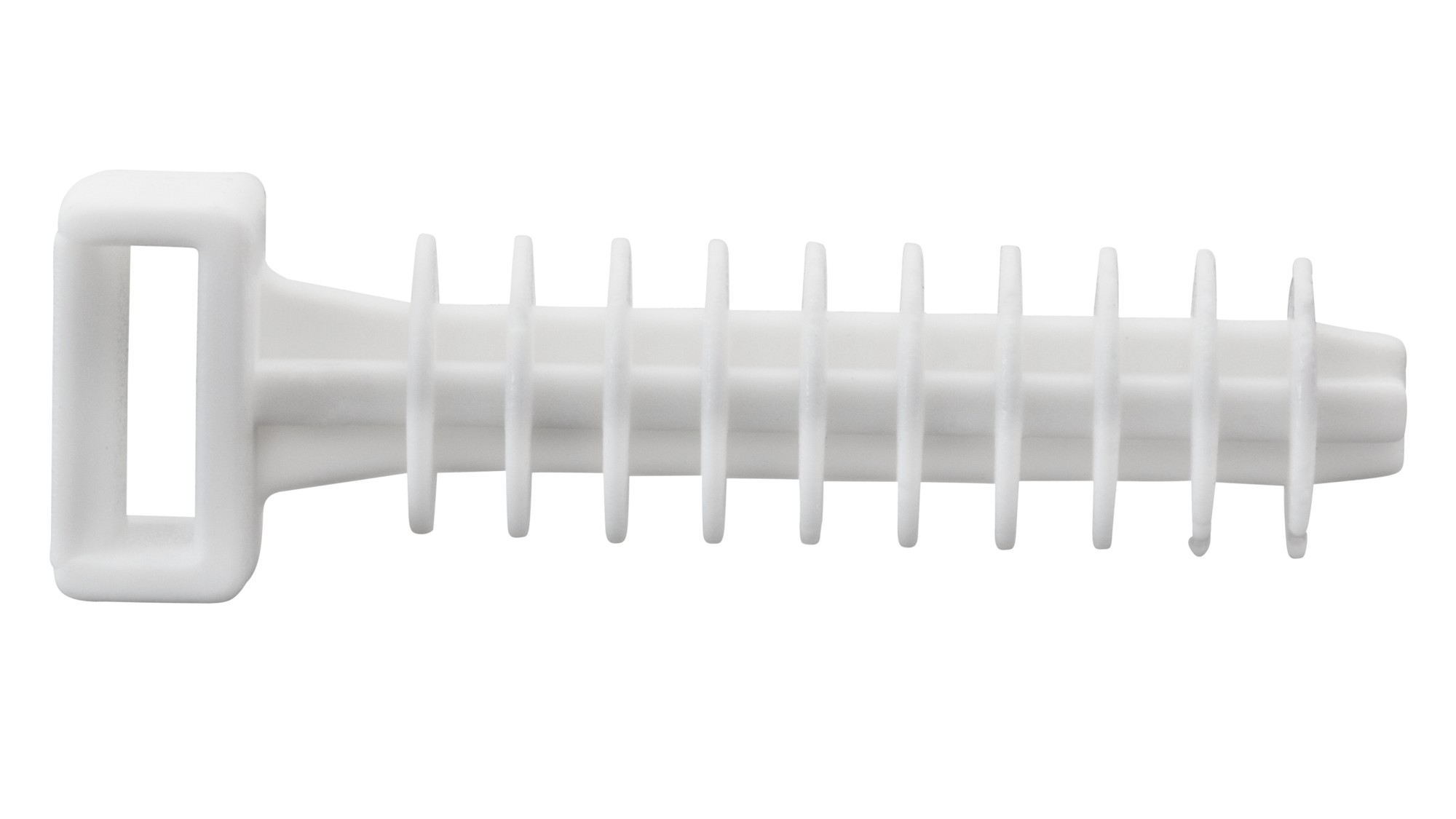 Taco brida Ø6 Incoloro