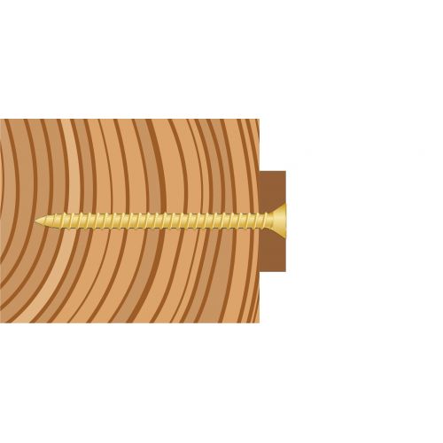 Tornillo FWS PZ cabeza plana bicromatado 3,5 x 17