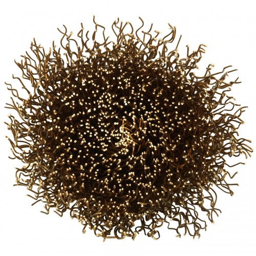 Tyrolit Cepillos de alambre para metales no férricos 24 x 25 - 6 x 68 #52PDW 24X25-6X68 M0,3 P