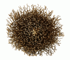 Tyrolit Cepillos de alambre para metales no férricos 24 x 25 - 6 x 68 #52PDW 24X25-6X68 M0,3 P
