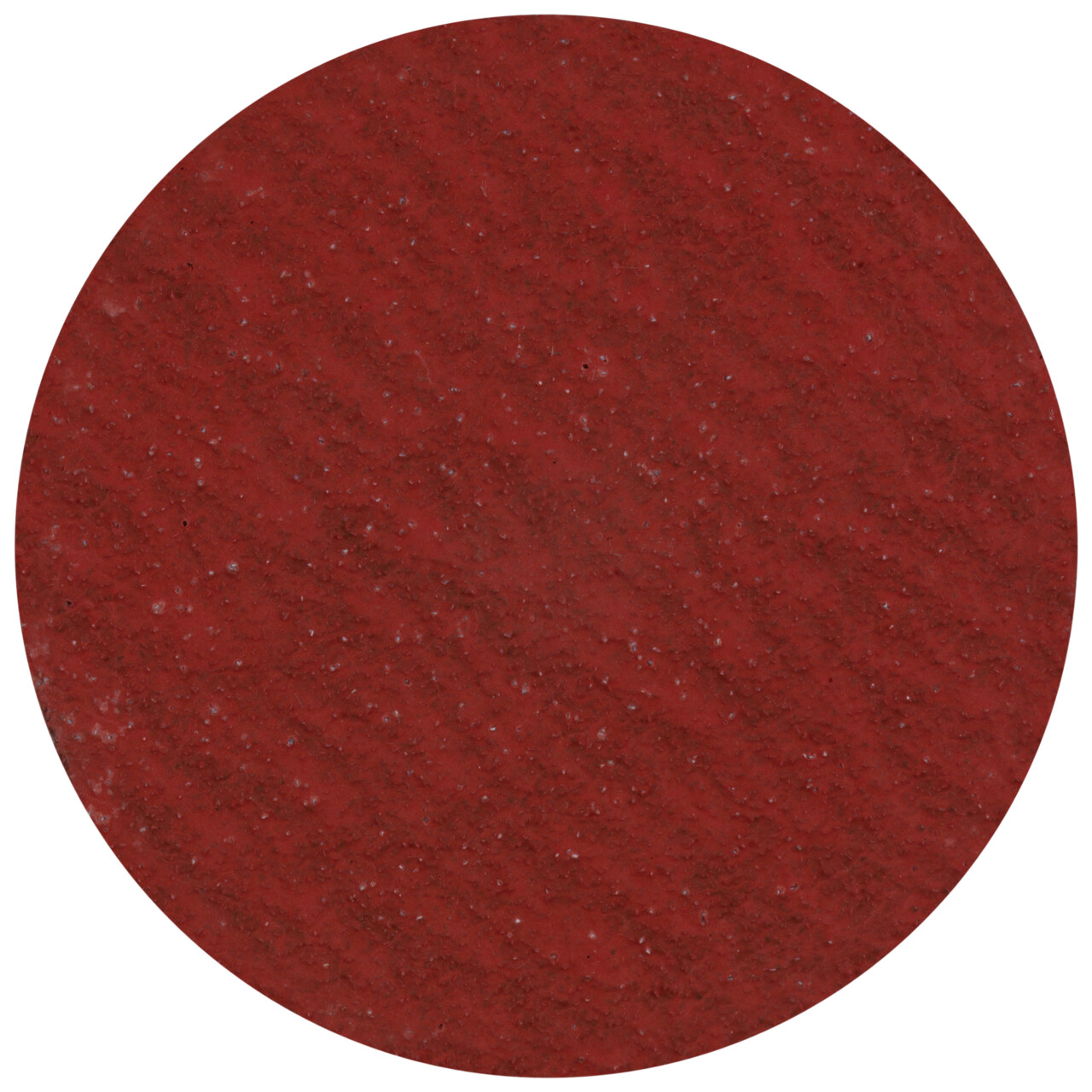 Tyrolit Disco de fibra Quick-Change 25xR CA36 PE-XY PREMIUM universal