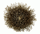 Tyrolit Cepillo de alambre trenzado 24x25-6x68 M0,3 mm PREMIUM met.no férricos