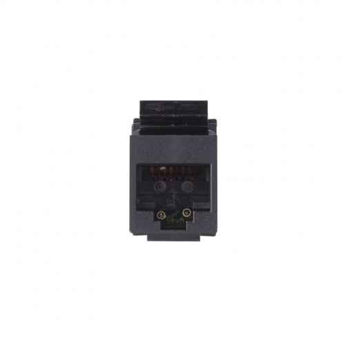 Conector informático RJ45 AMP® de categoría 6 UTP