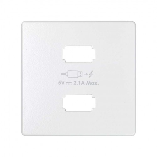 TOMA 2 CARGADOR USB 2.1A BLANCO S82