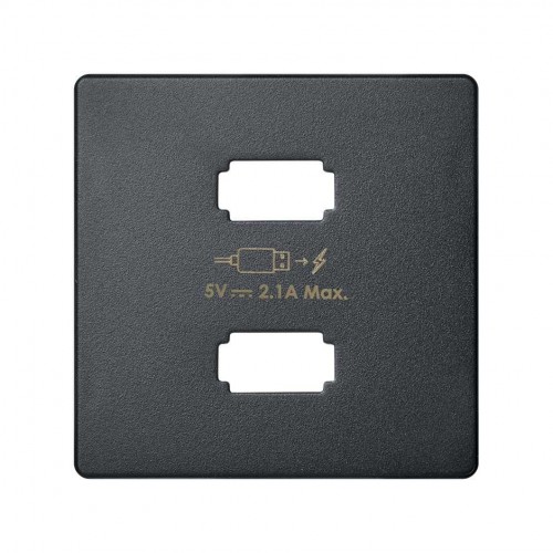 TOMA 2 CARGADOR USB 2.1A GRAFITO S82