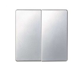 Tecla doble para mecanismos de mando aluminio Simon 82