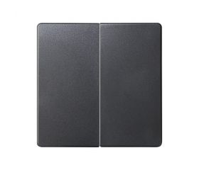 Tecla doble para mecanismos de mando grafito Simon 82
