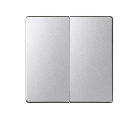 Tecla doble para mecanismos de mando aluminio frío Simon 82 Detail