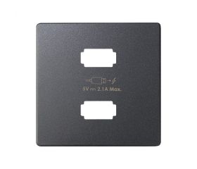 Placa para cargador USB 2 conectores 5Vdc 2.1A tipo A grafito Simon 82