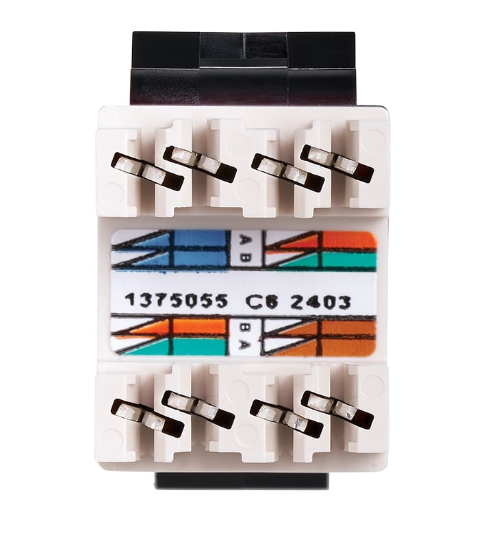 Conector informático RJ45 AMP® de categoría 6 UTP