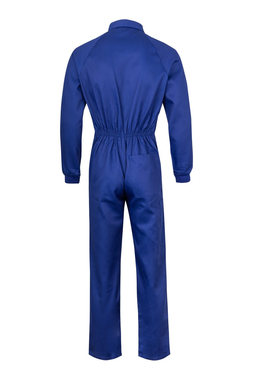 21600.MONO AZULINA 48