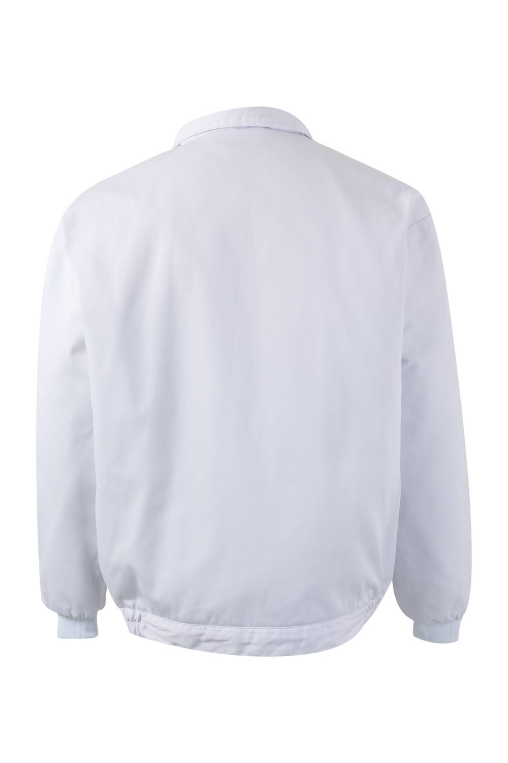 256002.CAZADORA ACOLCHADA BLANCO 2XL