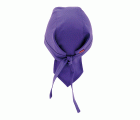 404002.GORRO COCINA MORADO U