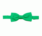 404006.PAJARITA VERDE U