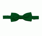 404006.PAJARITA VERDE BOSQUE U