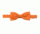 404006.PAJARITA NARANJA U