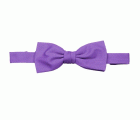 404006.PAJARITA MORADO U