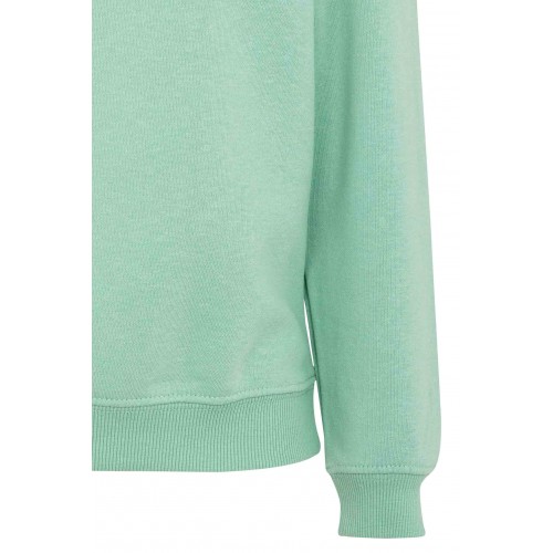 SC270K.SUDADERA CUELLO REDONDO KIDS SAGE 1/2