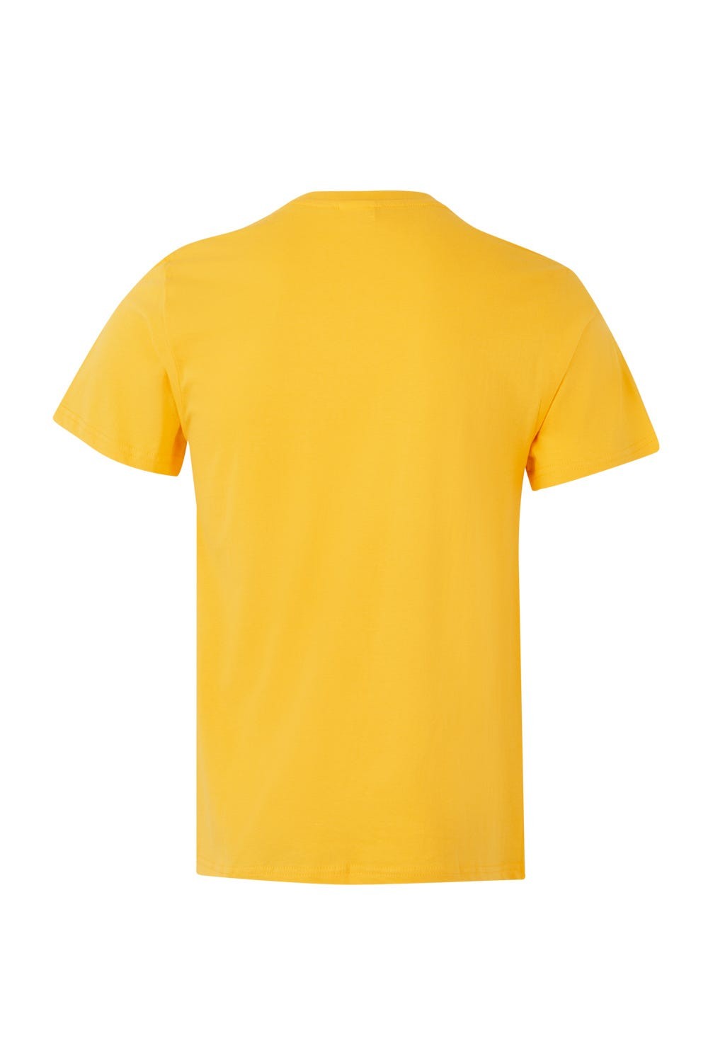 5010.CAMISETA 100% ALGODÓN AMARILLO 2XL