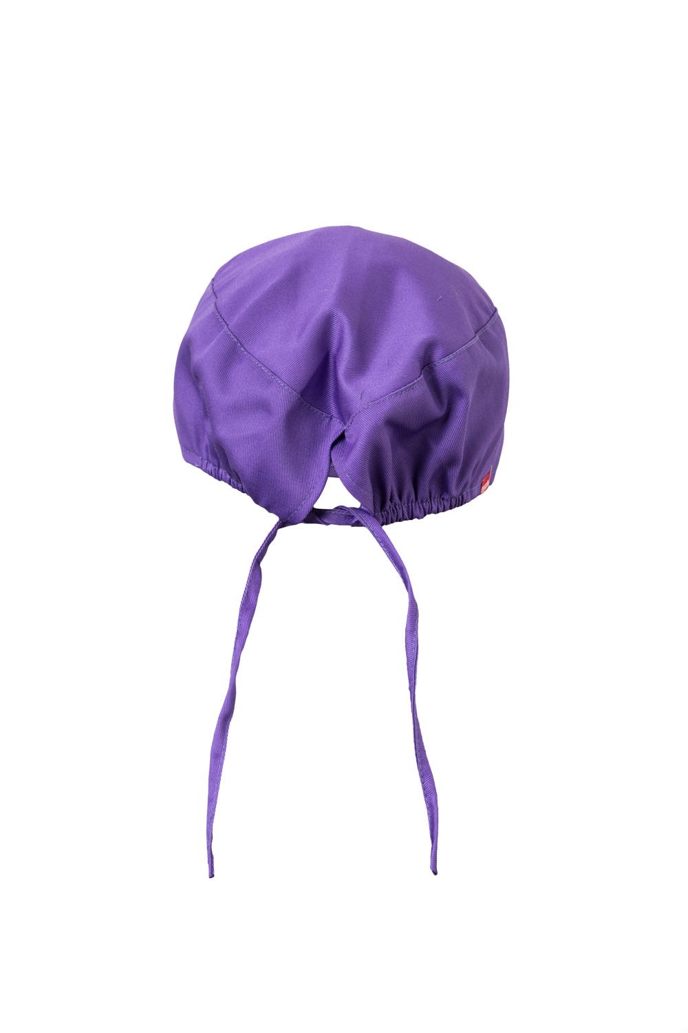 534001.GORRO SANITARIO MORADO U