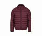 JG300U.CHAQUETA ACOLCHADA LIGERA UNIS WINE S